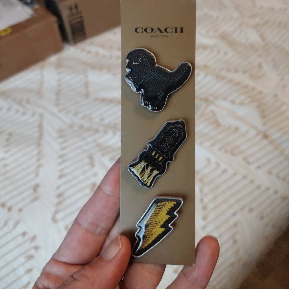 Coach pins